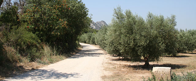 Alpilles Paysage