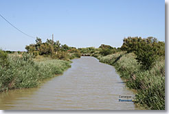 Camargue - Paysage