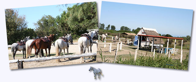 Arles - saintes Marie - Camargue