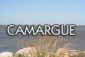 Camargue - Photos HD