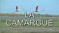 Camargue - Provence - Video