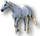 Camargue - Cheval