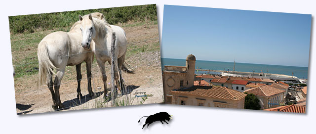 Arles - saintes Marie - Camargue - Hotels