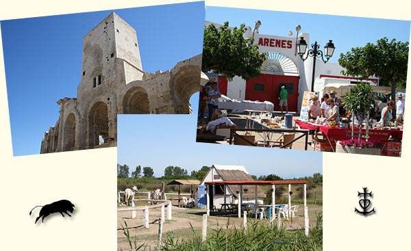 Camargue landscape