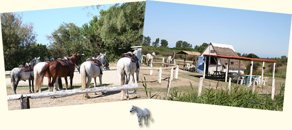 Paysages de Camargue