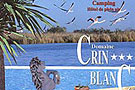 Crin Blanc