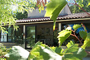 Visitez la Griotte