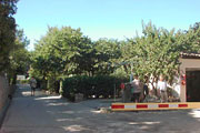 Camping Le M&eacute;diterran&eacute;e