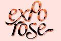 Expo Rose  