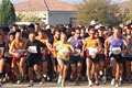 Marathon du Luberon