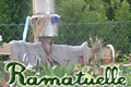 Expo Nature et Epouvantails  