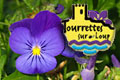 Fete des Violettes 