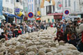 feuX de la Saint jean