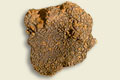 march� aux truffes 