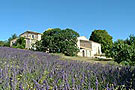 LES BASSES COMBES