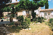 Visitez Les Oliviers