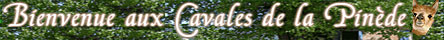 Cavales de la Pin&egrave;de