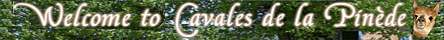 Cavales de la Pin&egrave;de