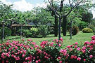 Location vacances Provence : LE JARDIN DE LA FERME