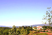 Domaine de Conili&egrave;res