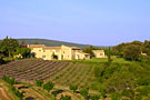 Bed and breakfast Provence: LE MAS DES DEUX PUITS