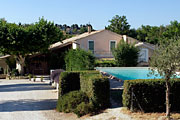 Le Vieux Platane