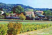 Les Olivettes