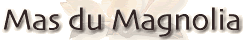 Mas du Magnolia