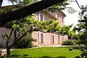 le Vieux Figuier