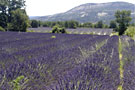 FRANCE PRESTIGE TOURS