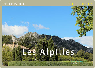 Photos de la semaine