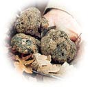 Truffes