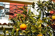 Villa Florida