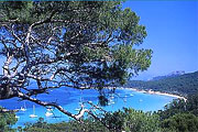 Les Roches