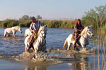 Arnelles Camargue