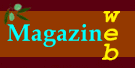 Magazine Summary