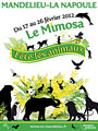 F&ecirc;te du Mimosa - Mandelieu la Napoule