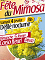 Corso du Mimosa - Sainte maxime