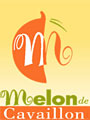 Fete du melon - Cavaillon