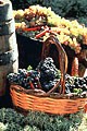 Fêtes des vendanges Fêtes des vendanges