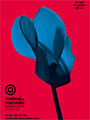 Festival de danse et des arts multiples - Marseille