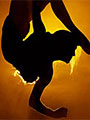 Vaison danses