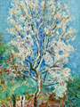 Les Collections de Bonnard au Cannet Les Collections de Bonnard au Cannet