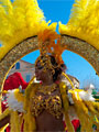 Corso du Mimosa à Sainte Maxime Corso du Mimosa à Sainte Maxime