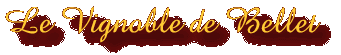 Vignoble du Bellet
