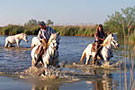 Arnelles Camargue