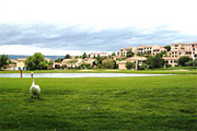 Hameau des Oliviers - Mallemort