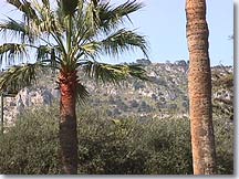 Beaulieu sur Mer- Lanscape