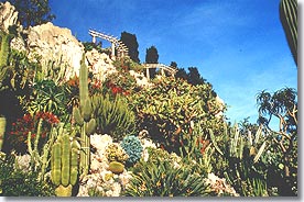 Monaco - Jardin exotique