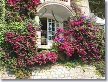 Mougins - Window with flowers